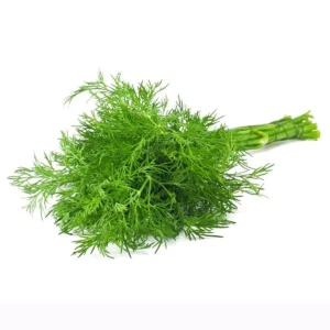 Marar Verde legatura