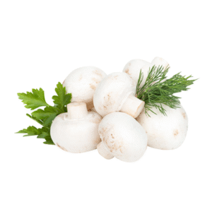 Ciuperci Champignon kg