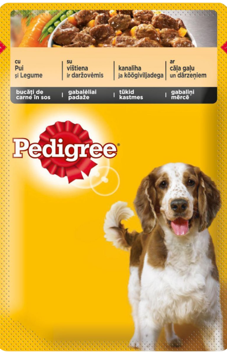 pedigree_plic_pui_in_sos_100_g-1-Photoroom