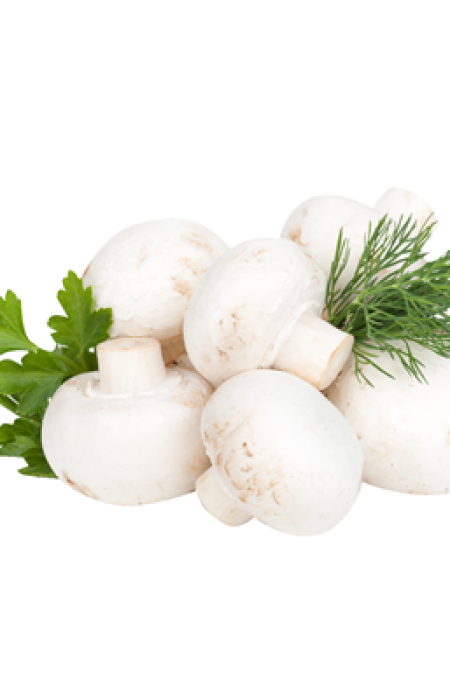 ro_pim_657963001001_01